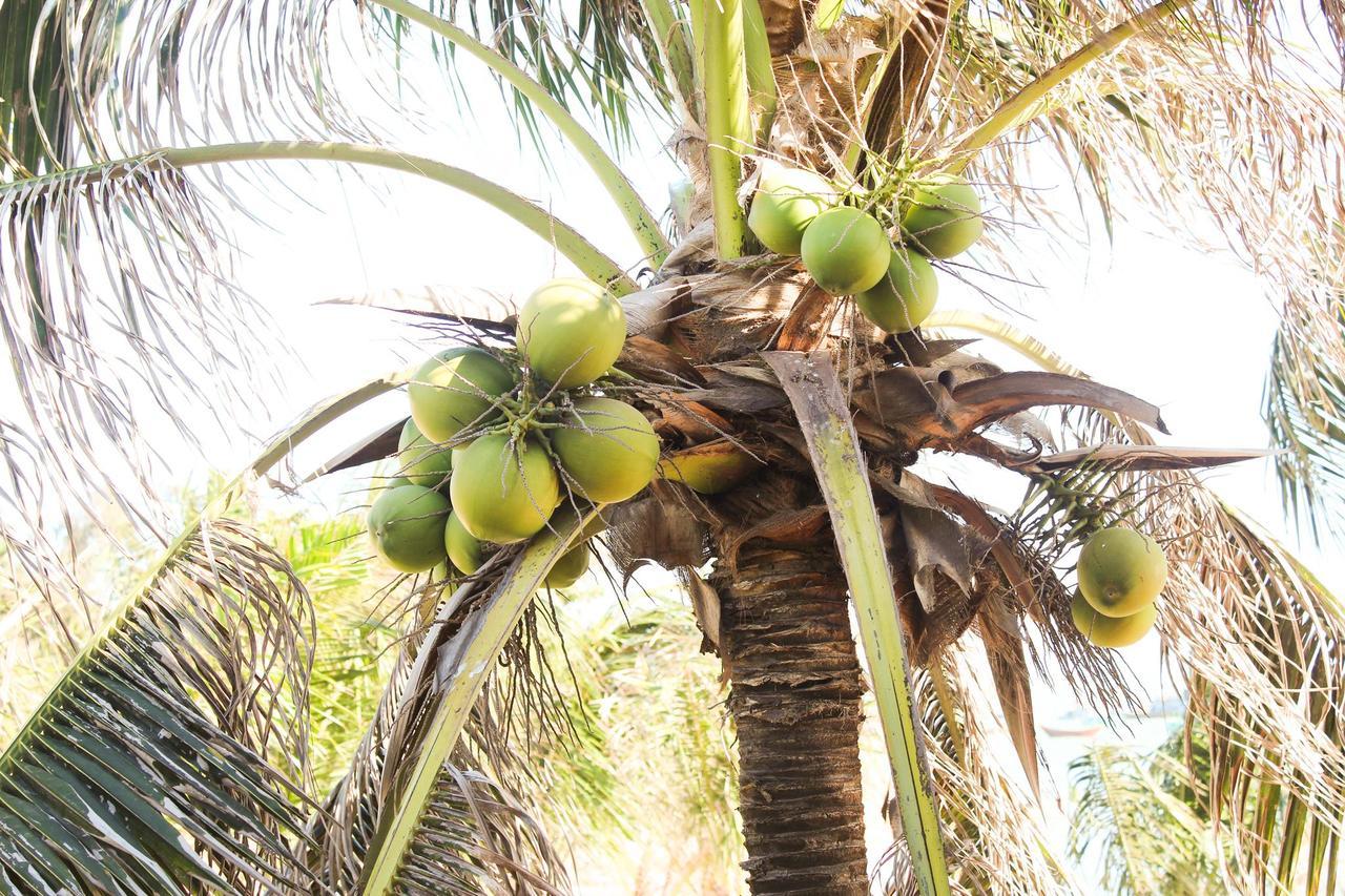 Eagles Beach Resort Phan Thiet Dış mekan fotoğraf
